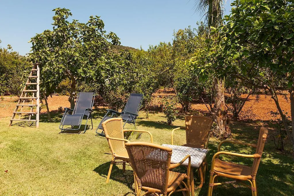 Cal Roma Villa Pollenca Holiday home